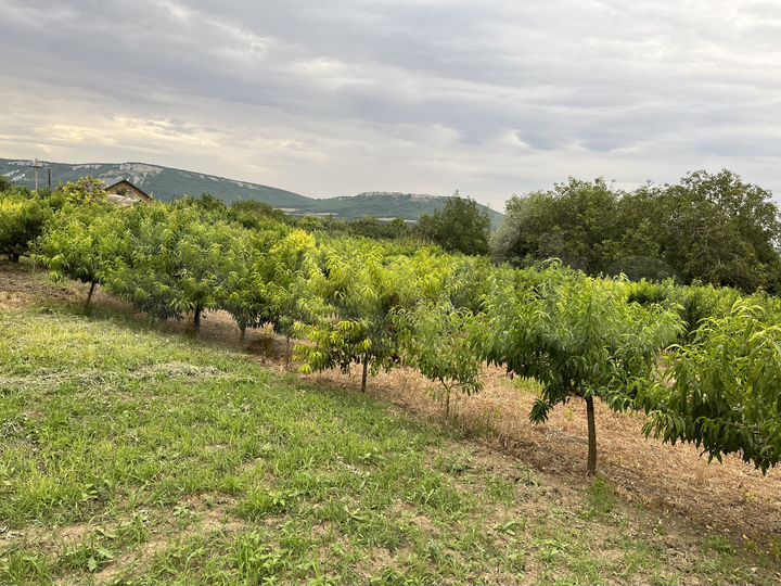 Участок 20 сот. (ИЖС)