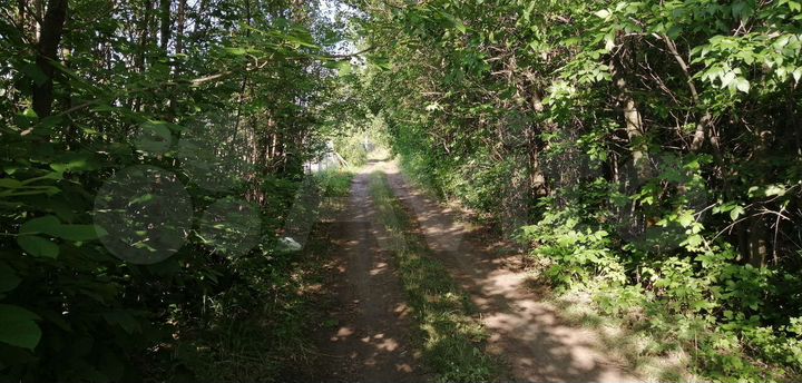 Участок 6 сот. (СНТ, ДНП)