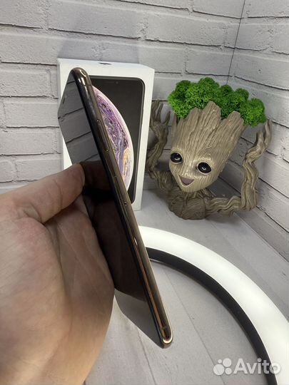 iPhone Xs Max, 256 ГБ