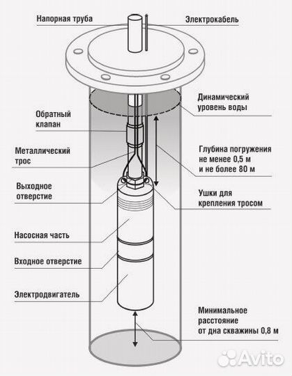 Скважинный насос Belamos TF-60