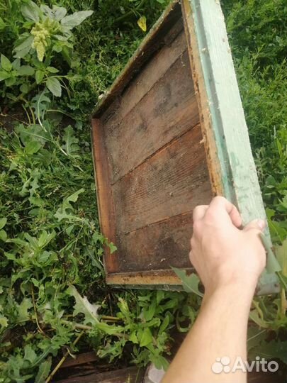 Продам магазины для ульев