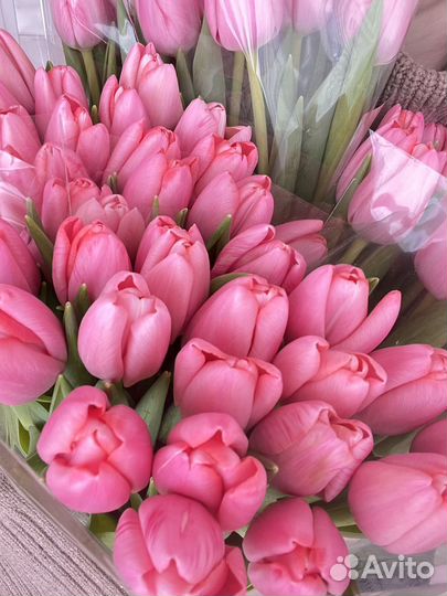 Тюльпаны к 8 марта