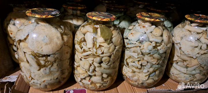 Грибы маринованные И соленные