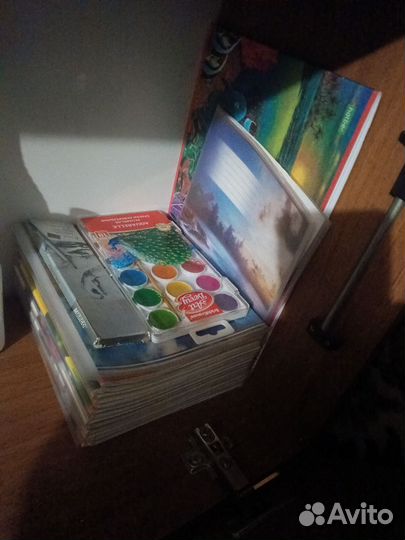 Тетради в линейку и в клетку примерно по 10 шту