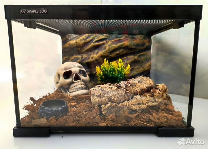 Террариумы с наполнением для рептилий, пауков