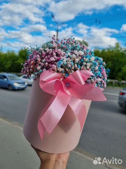 Коробка гипсофил