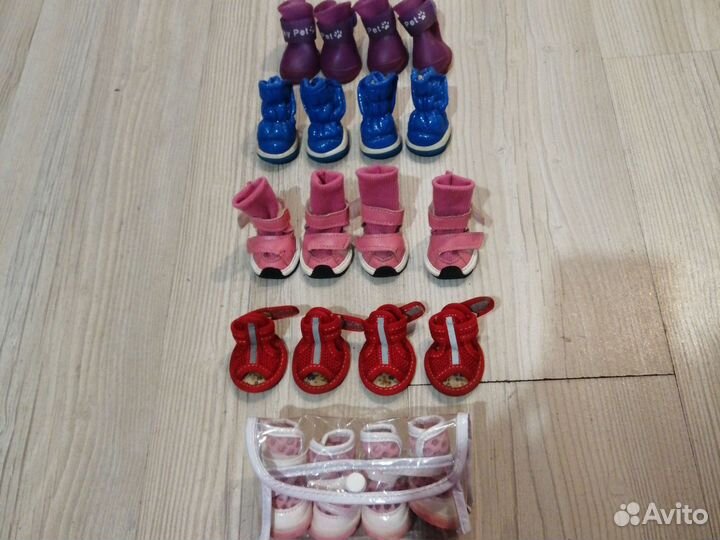 Обувь для маленьких собак