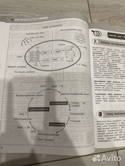 Наглядный школьный курс биология к ЕГЭ и ОГЭ