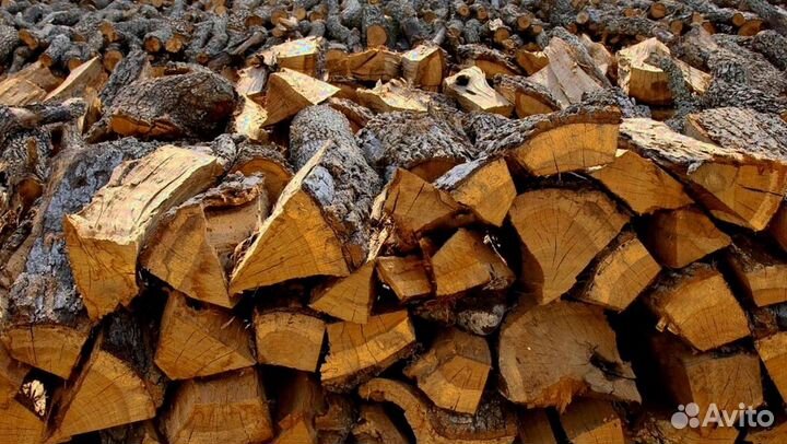 Береза на выбор