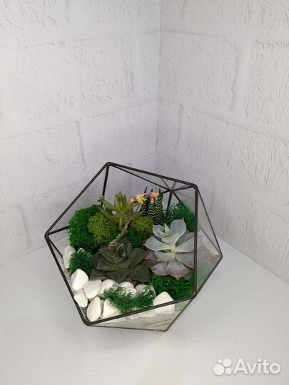 Флорариум с кактусами и суккулентами