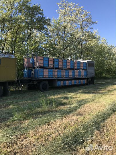 Пчелоприцеп