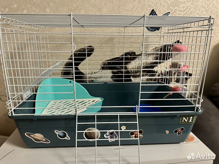 Клетка для декоративного кролика