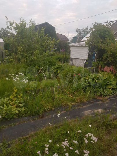Участок 4 сот. (СНТ, ДНП)