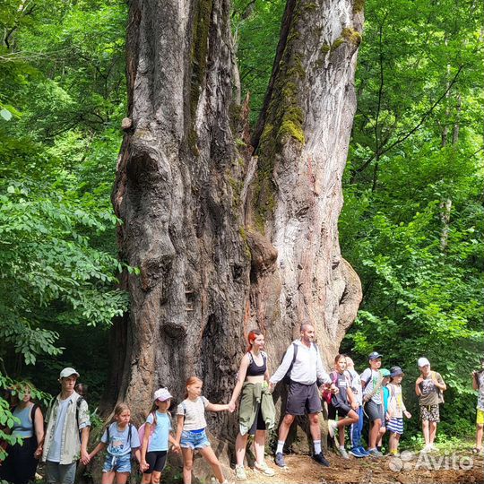 Путешествие в горы