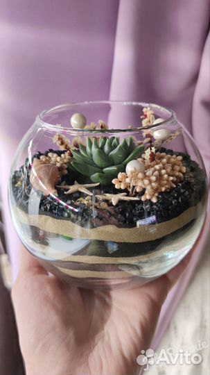 Мини-флорариум с живым растением