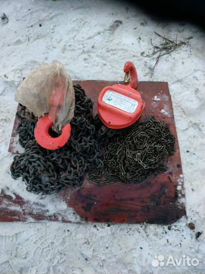 Талька цепная