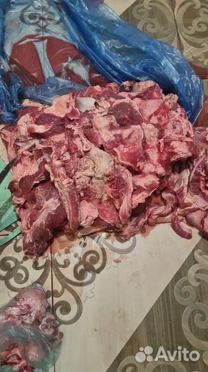 Мясная обрезь для собак Говядина