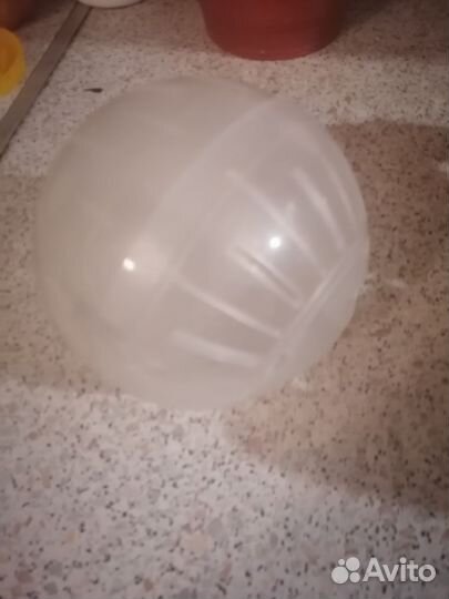 Все для содержания хомячка