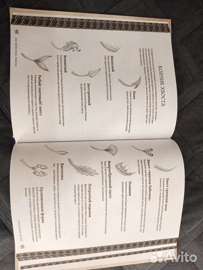 Как нарисовать дракона