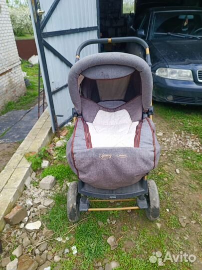 Детская коляска Adamex Young