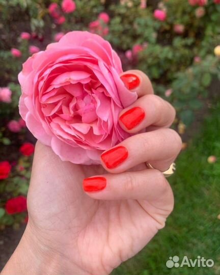 Маникюр, Смарт Педикюр