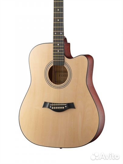 Акустическая гитара Fante FT-221-N