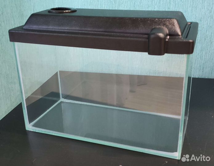 Фон и растения для аквариума