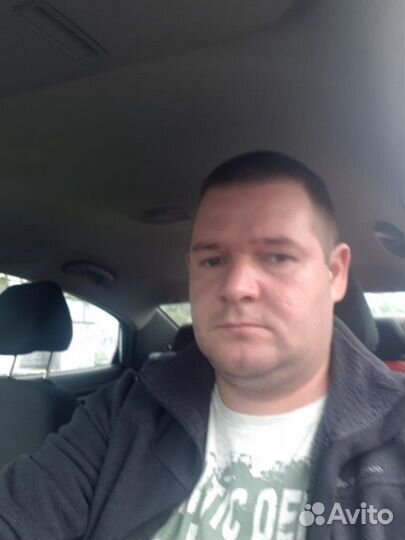 Уничтожение тараканов, клопов, короеда, ос, мышей