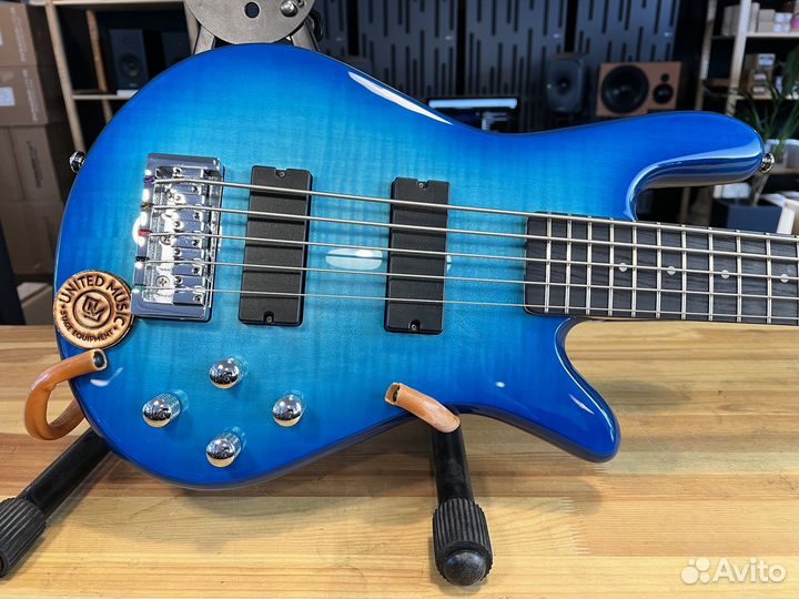 Spector Legend Standard 5 LG5stbls blue stain