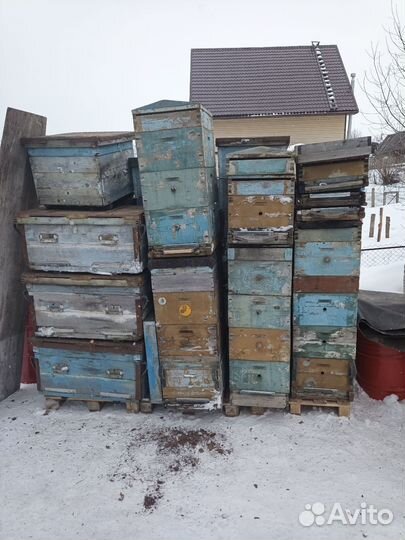 Улей для пчел бу