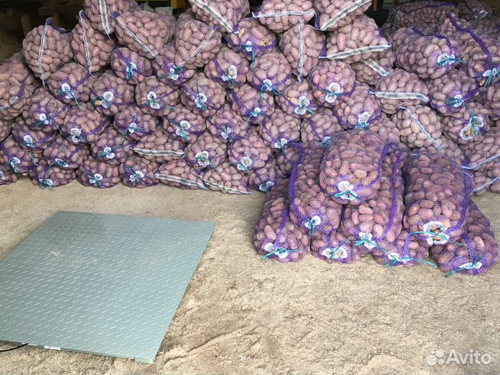 Картофель оптом