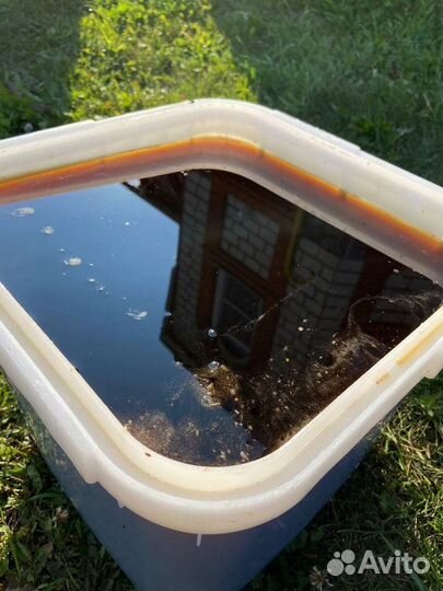 Дягилевый мед свежий оптом