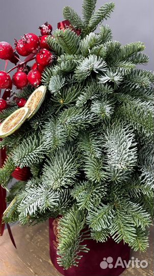 Новогодний букет. Букет из нобилиса