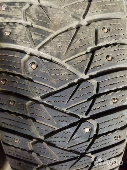 Dunlop All Season Maxx AS1 195/65 R15