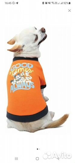 Одежда для собак мелких пород на спинку до 40 см
