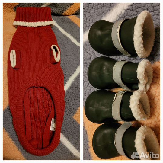 Свитер Rukka и сапожки для собаки