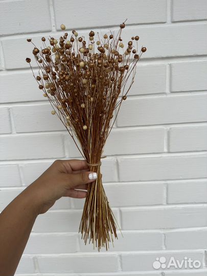 Лен сухоцвет