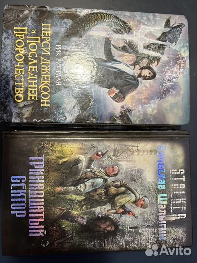 Книга 13 Сектор Шалыгин