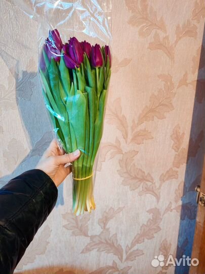 Тюльпаны к 8 марта оптом и в розницу