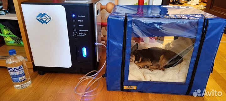 Концентратор кислорода + бокс в Аренду Без залога