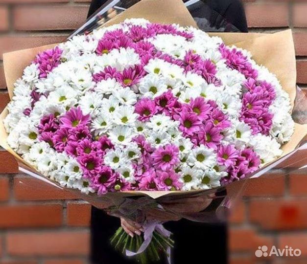 Букет Ромашки Купить.XXL