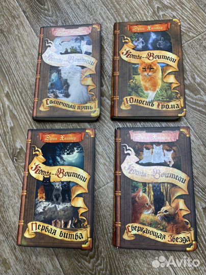 Книги Коты Воители Солнечный путь, Юность Грома, П