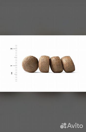 Корм для собак карми
