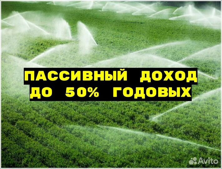 Привлекаю инвестиции для масштабирования произ-ва