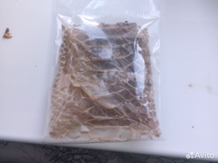 Змеиная линька