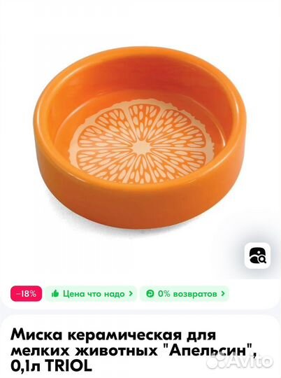 Самка эублефара с террариумом