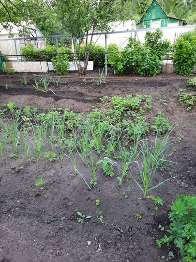 Дача 20 м² на участке 4,7 сот.