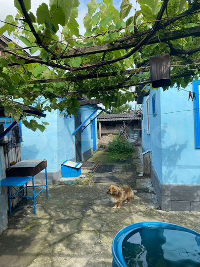 Дом 52,9 м² на участке 6 сот.