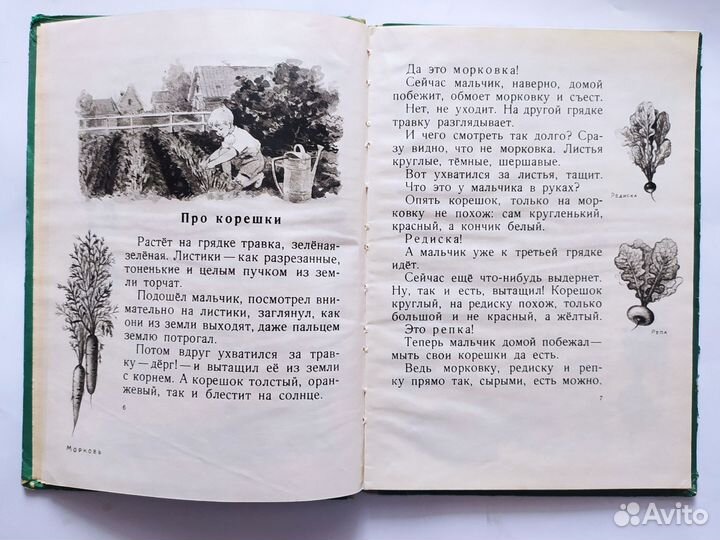 Книга о растениях. 1956 г. Л.Ф.Кон Изд.детгиз