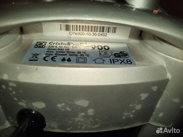 Анциструсы супер Рэд,альбиносы,простые